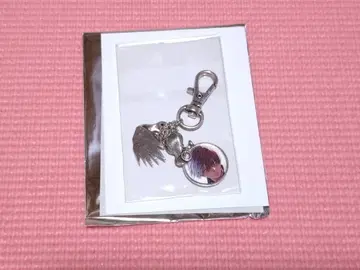 히로아카 원화전 합금 참 토도로키