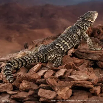 생물대도감 얼티밋 오오요로이도마뱀