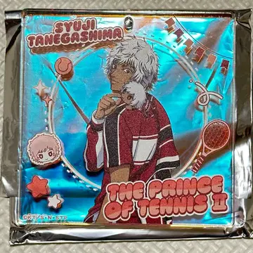 테니스의 왕자님 운세 점페스 BIG 오로라 브로키 타네가시마 슈지