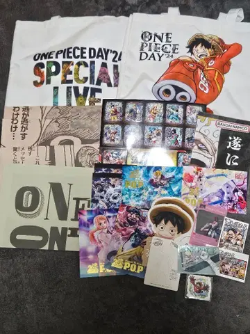 ONE PIECE DAY 24 한정판 아이템 세트