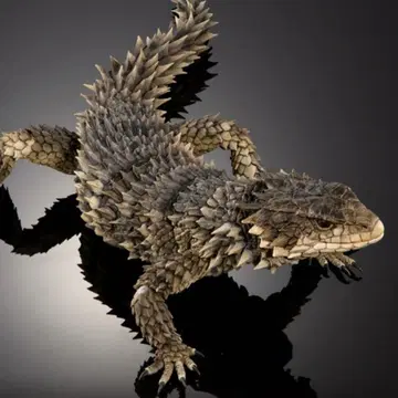 오오요로이 도마뱀 생물대도감 얼티밋