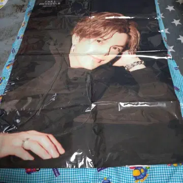 3대째 이와타 타카노리 패브릭 포스터