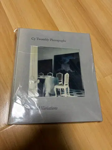 사이 트웜블리의 사진 변주곡의 리리시즘 Cy Twombly