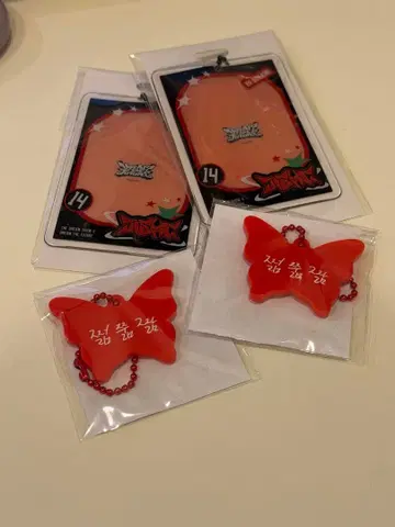 NCT DREAM DREAM SHOW 랜덤 토이 지성