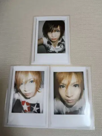 골든 폭격기 금폭 귀류인 쇼 폴라로이드 사진 새상품급 세트