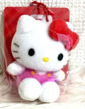 미개봉 새상품 헬로키티 플로키 마스코트 키링 산리오