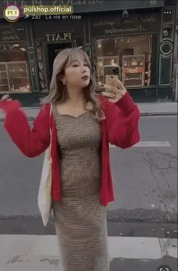 pui 원피스 체크 무늬 원피스