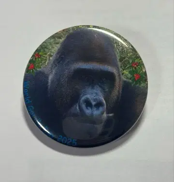 겐타로우 교토시 동물원 월드 고릴라 데이 2025 캔뱃지