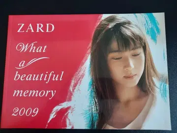 ZARD  What a beautiful memory 팜플렛