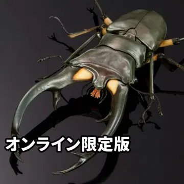 에라푸스 호소아카 사슴벌레 (그린) 생물대도감 어드밴스 사슴벌레 02