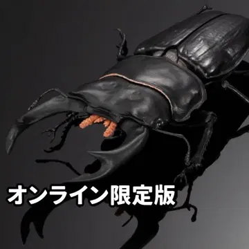 오오쿠와가타 생물대도감 어드밴스 사슴벌레 02 온라인 한정판