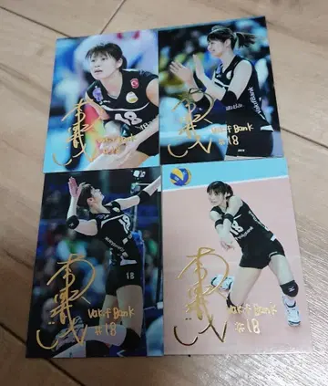 기무라 사오리 금박 사인 4장 여자 배구 카드 트레이딩 카드