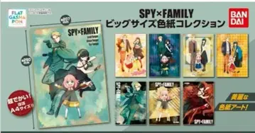 SPY x FAMILY 빅 사이즈 색지 컬렉션 컴플리트 세트