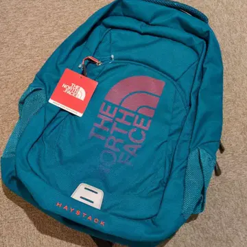 THE NORTH FACE HAYSTACK 백팩 터콰이즈