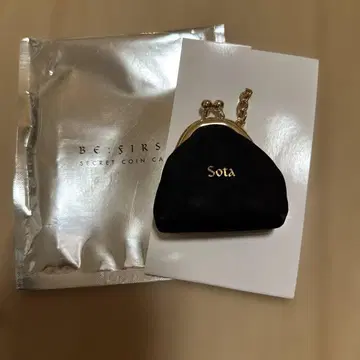BE SIRS SECRET COIN CASE Sota