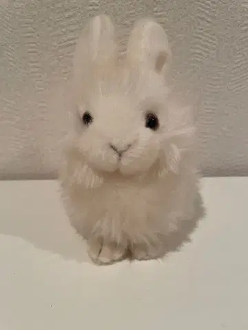 화이트 토끼 봉제 인형