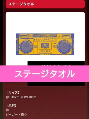 B'z LIVE-GYM 2025 -FYOP- 스테이지 타월