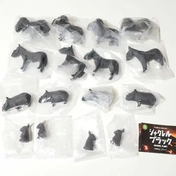 [ 7937 ] 샤클레르 블랙