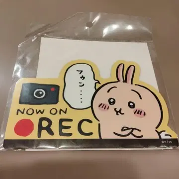 치이카와 (먼작귀) 엔조이 드라이브! 카 마그넷 토끼 now on rec