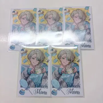 히바치 마나 Sweet Floaties 폴라로이드 5장 세트