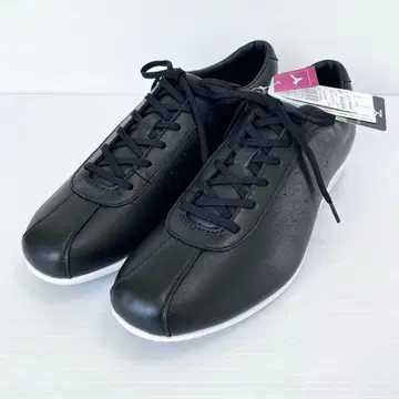 새상품 미즈노 워킹화 WAVE LIMB MONO 25cm