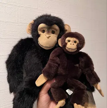 kosen 침팬지 모자