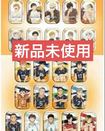 하이큐!! 스퀘어 캔뱃지