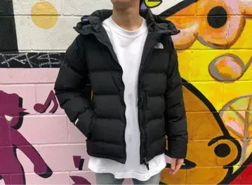 THE NORTH FACE 빌레이어 파카 ND91301