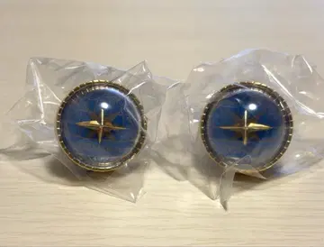 프로세카 호시노 이치카 세카라이 5th 링라이트 린라이