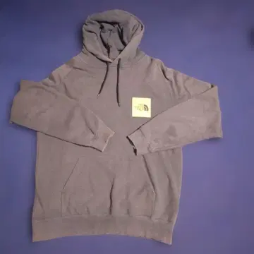 THE NORTH FACE 후드티 그레이