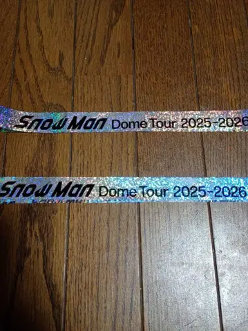 Snow Man Dome Tour 2025-2026
