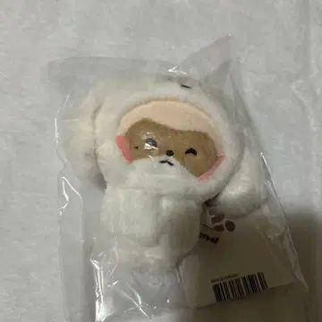 하니니 마그넷 사진 홀더 hanini zeroni