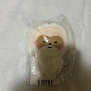 하니니 마그넷 사진 홀더 hanini zeroni