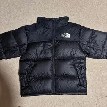 THE NORTH FACE 눕시 다운 자켓
