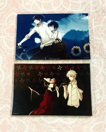 고서점 거리의 하시히메 포켓 캔버스 미즈카미 카오루 타마모리