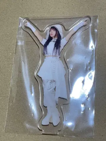 [ 미즈키 나나 ] LIVE VISION 아크릴 스탠드