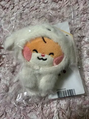 ZB1 한빈 비니니