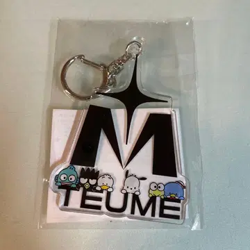 TREASURE 하피단부이 아크릴 키링