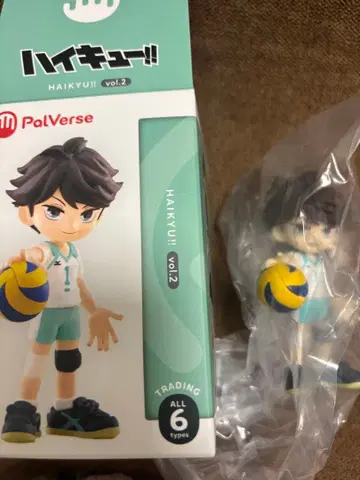 하이큐 팔버스 팔버스2 palverse 오이카와