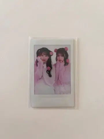 piki 폴라로이드 마츠모토 카렌 사쿠라바 하루카