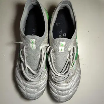 모렐리아 네오 4 베이타 한정판 그린 컬러 25cm