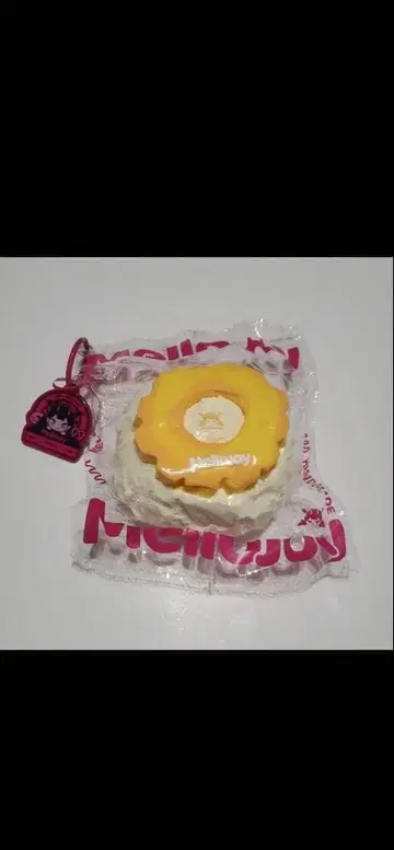 멜로 조이 스퀴즈 대복 파인