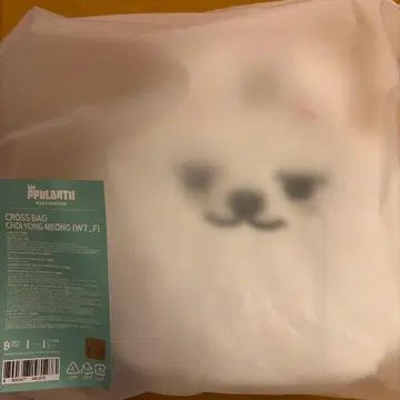 CHOI YONG MEONG 크로스백