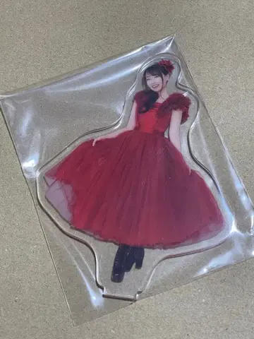 [ 미즈키 나나 ] LIVE VISION 굿즈 아크릴 스탠드