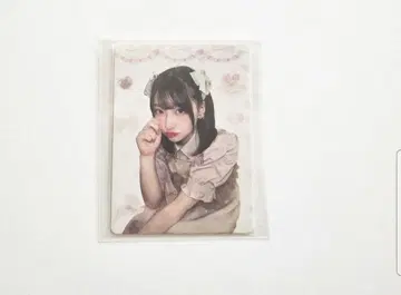 사쿠라바 하루카 LARME 트레이딩 카드 큐스토 니푸여자