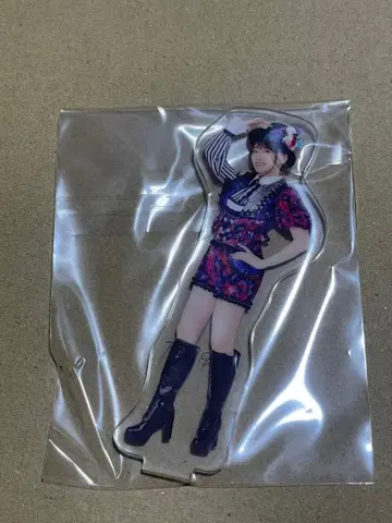 [ 미즈키 나나 ] LIVE VISION 굿즈 아크릴 스탠드