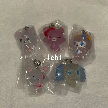 주얼펫 메지루시 액세서리 산리오 컴플리트 5종 컴프