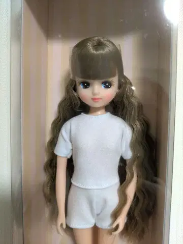 리카짱 캐슬 2021년 일본바시 BASIC 모델