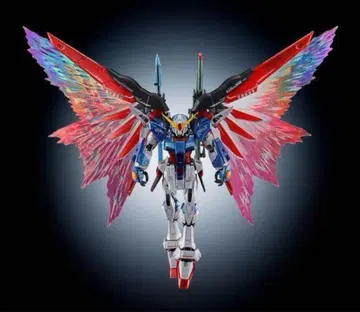 RG 1/144 데스티니 건담 [티타늄 피니쉬] 빛의 날개 세트