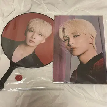 SEVENTEEN 세븐틴 POWER OF LOVE 정한 세트